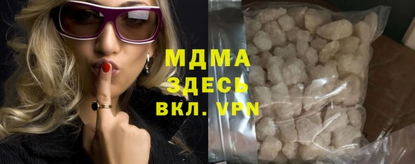 хмурый Арсеньев