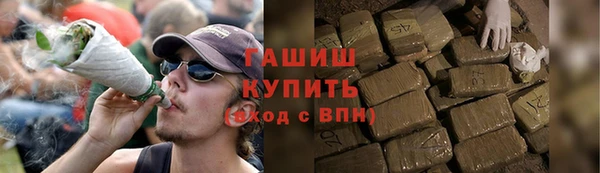 хмурый Арсеньев