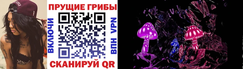 Галлюциногенные грибы Cubensis  купить закладку  hydra сайт  Чернушка 